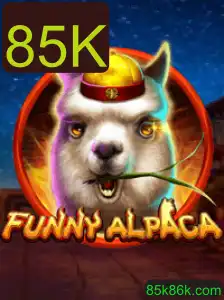Explorando o Mundo Animado de FunnyAlpaca: Um Mergulho nas Regras e Dinâmicas do Jogo